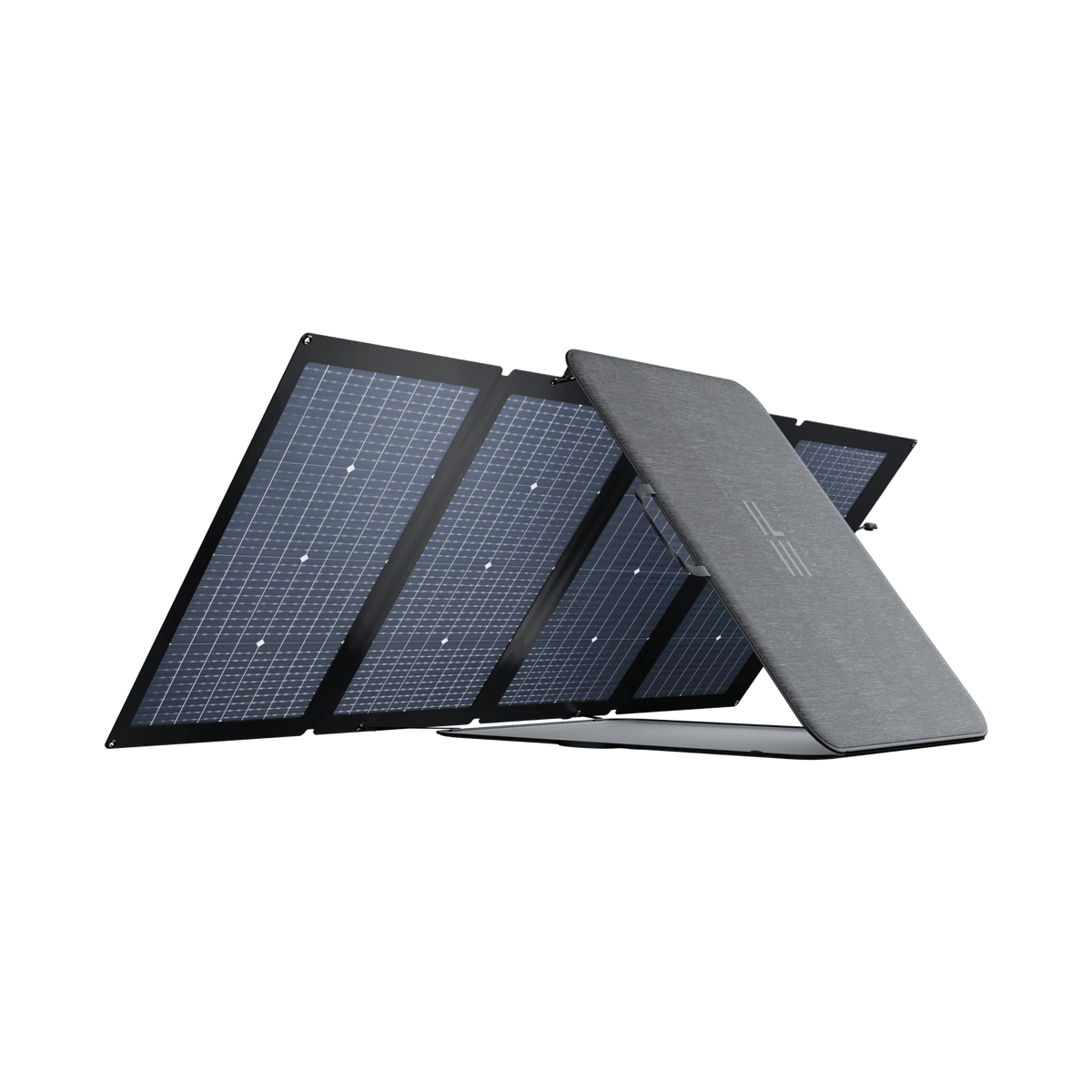 EcoFlow 220W Bifacial Portable Solar Panel (Recommended Accessory)