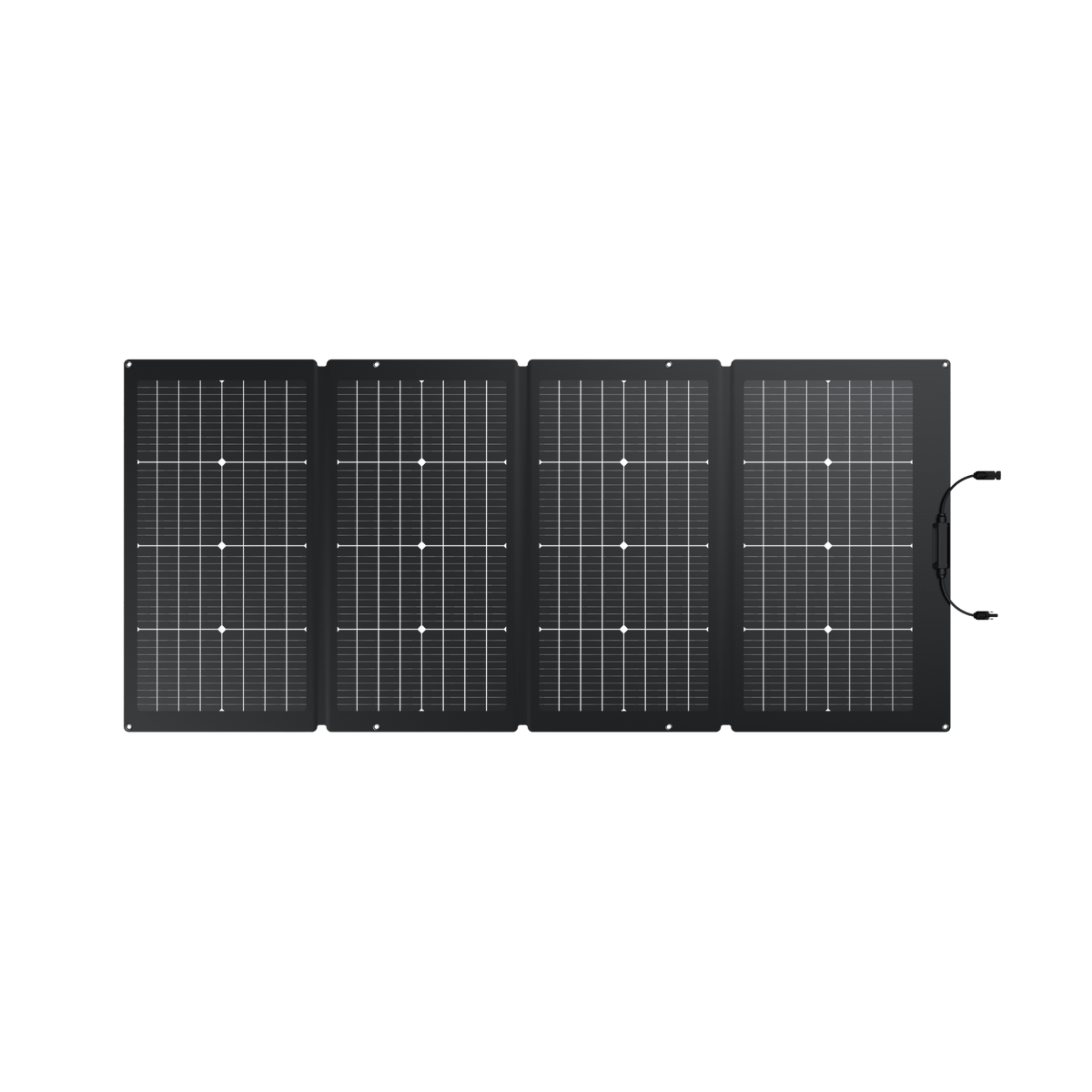 EcoFlow 220W Bifacial Portable Solar Panel (Recommended Accessory)