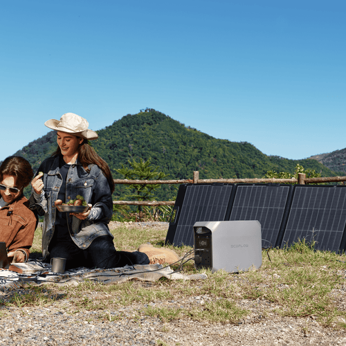 220W Portable Solar Panel [Add-on]