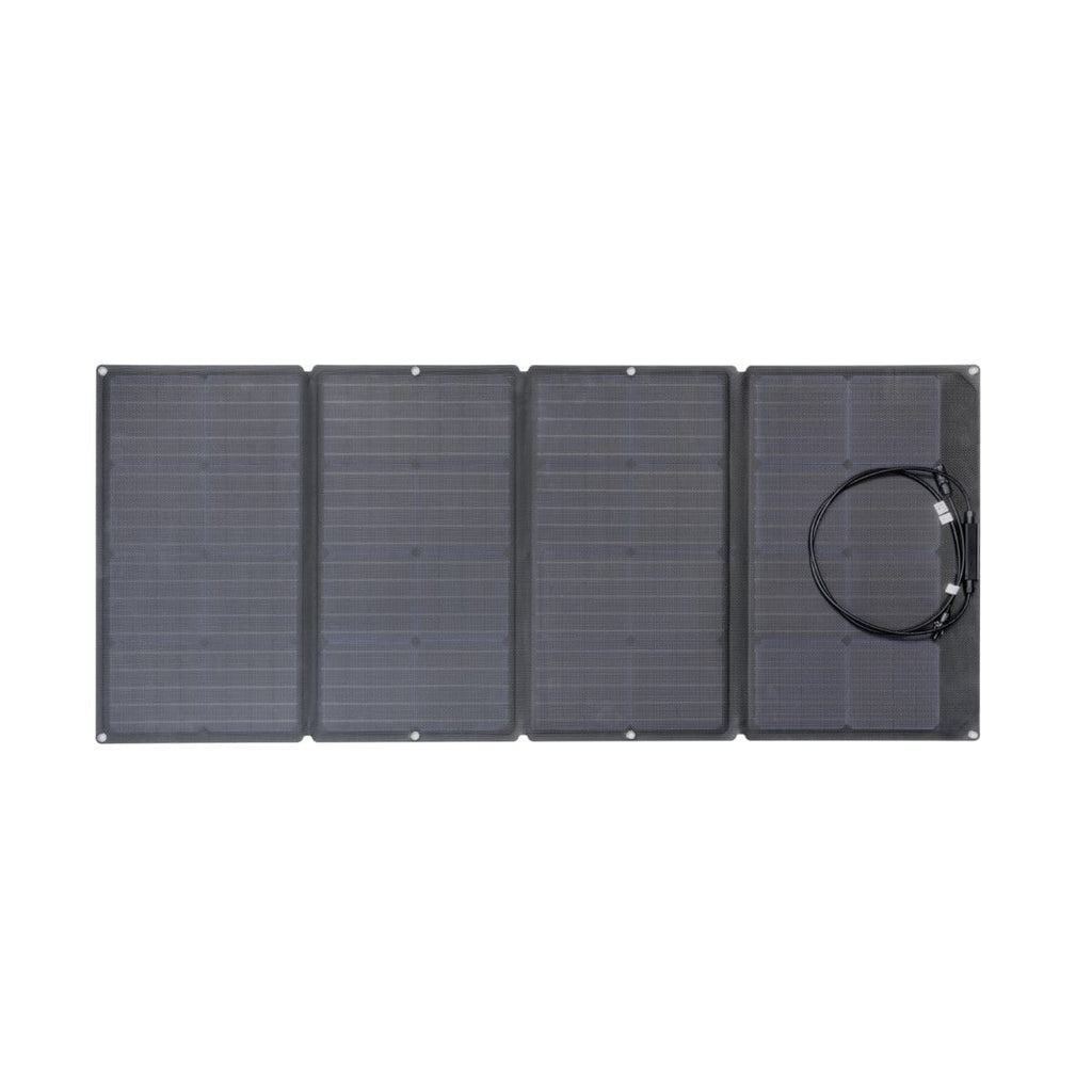 EcoFlow DELTA Solar Generator (PV160W)